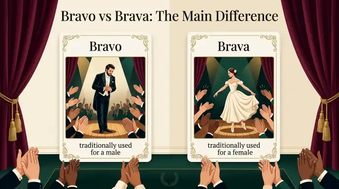Bravo vs Brava: The Main Difference