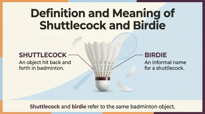 Definition and Meaning of Shuttlecock and Birdie