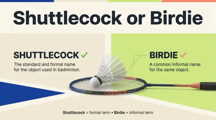 Shuttlecock or Birdie